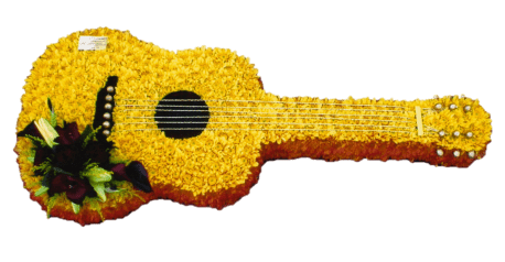 Guitar Tribute